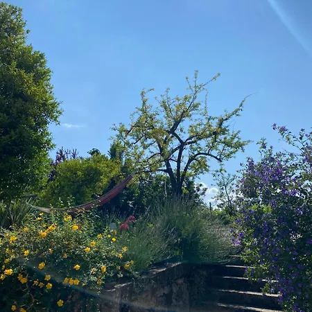 Turra Nature House בית נופש סלוריקו דה באשטו