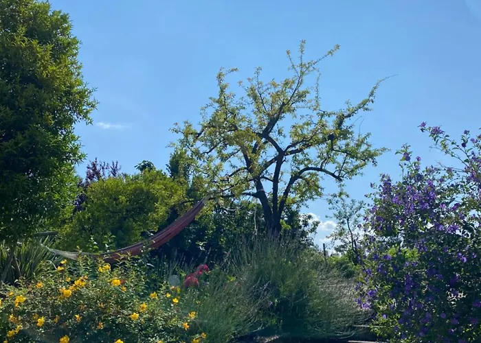 Turra Nature House 度假居 塞洛里库迪巴什图